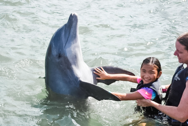 Cayman Islands (2019)